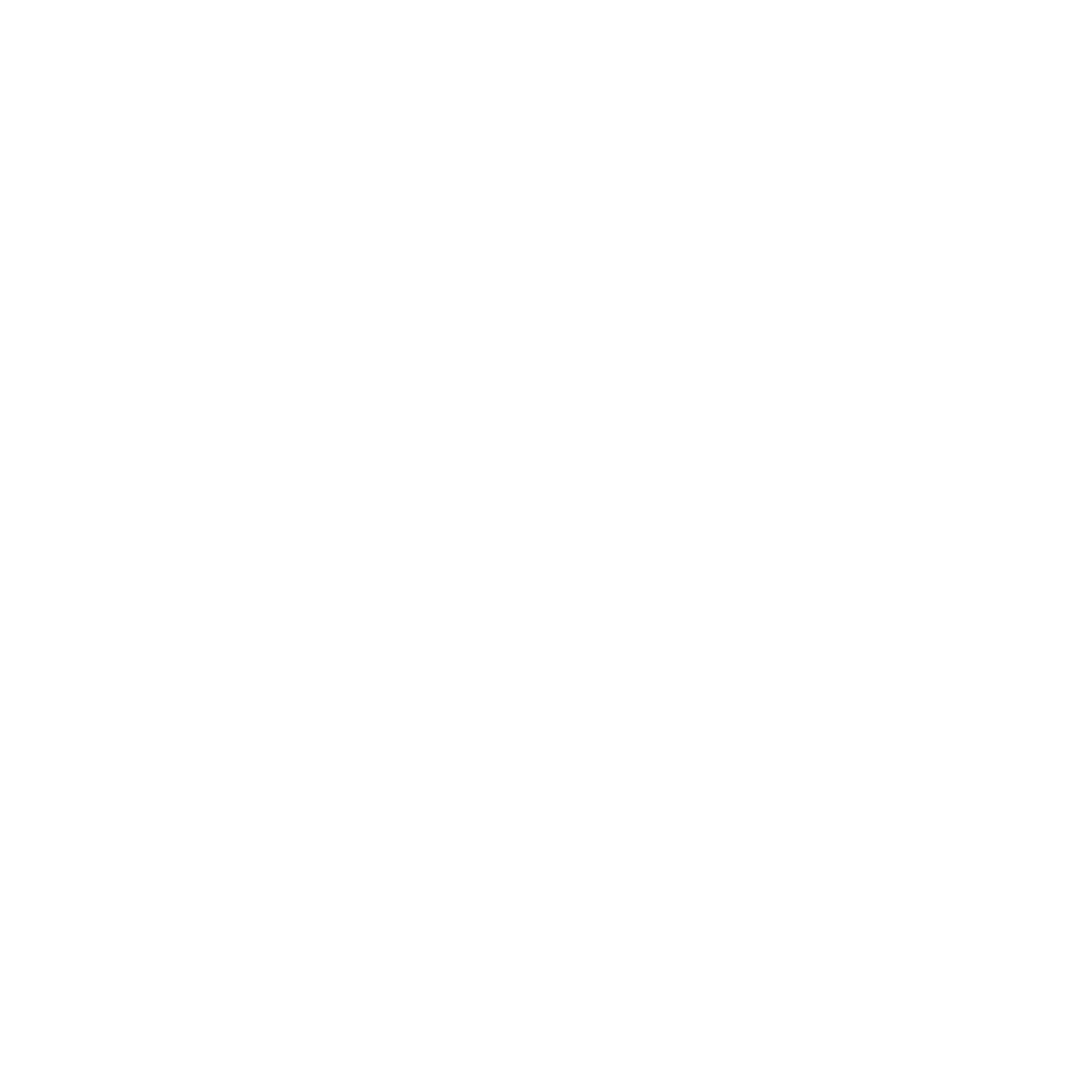 Brake System